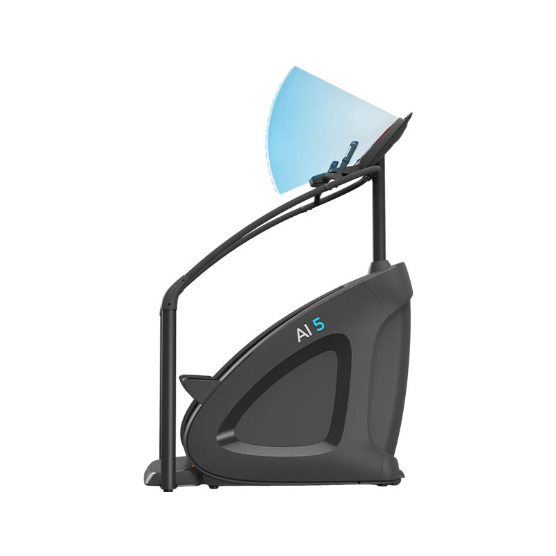 AnyFit CLC550-C StairTrainer HITT Trainning Machine Climbmill