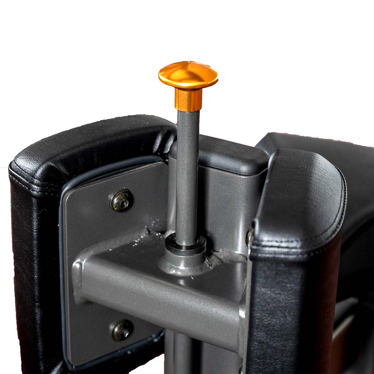 CPE1303 Professional Torso Rotation Machine | Commercial Core & Oblique Trainer