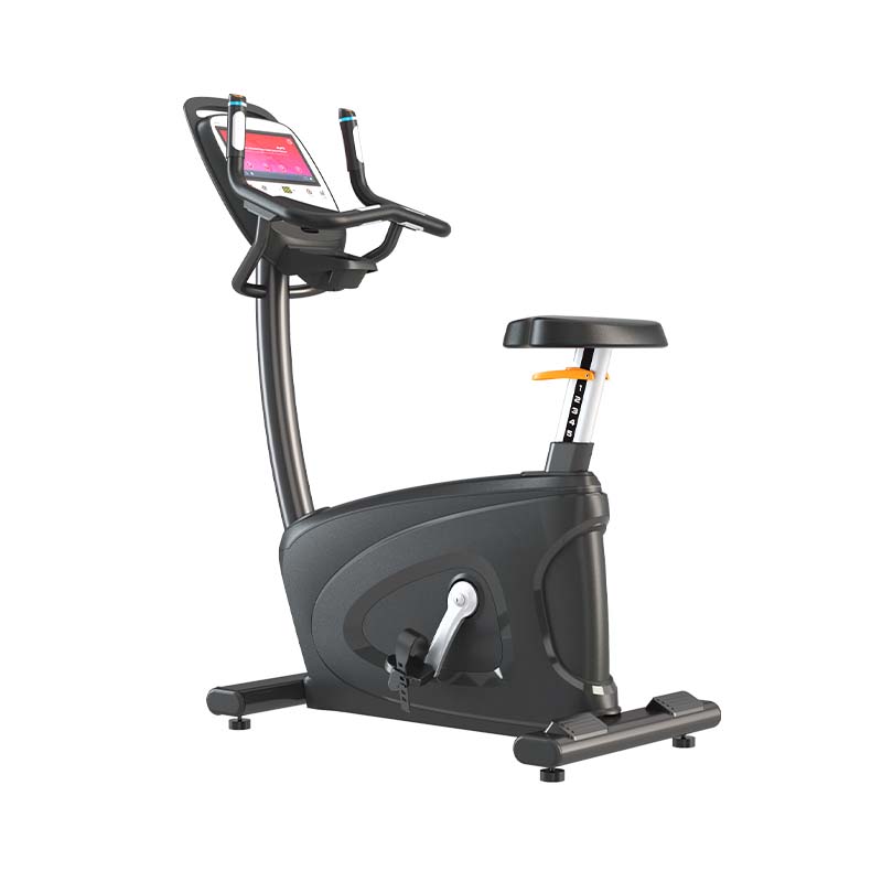 CBL60-T 10.1